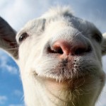 goat_simulator_feature