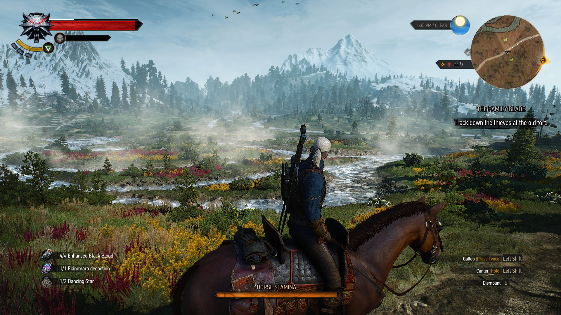 the_witcher_3_wild_hunt_review_screenshot_PC_N2 (65)