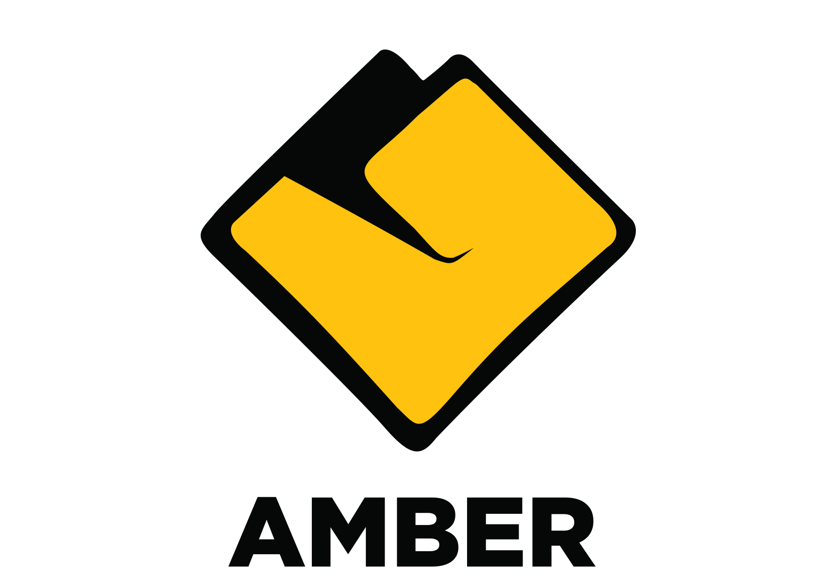 Amber Studio se extinde